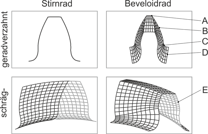  Bild 1: Schräg- und geradverzahnte Stirnrad- (links) und Beveloidradzähne (rechts)